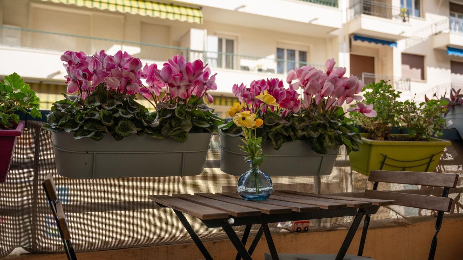 Large Magnificent Terrace Nice