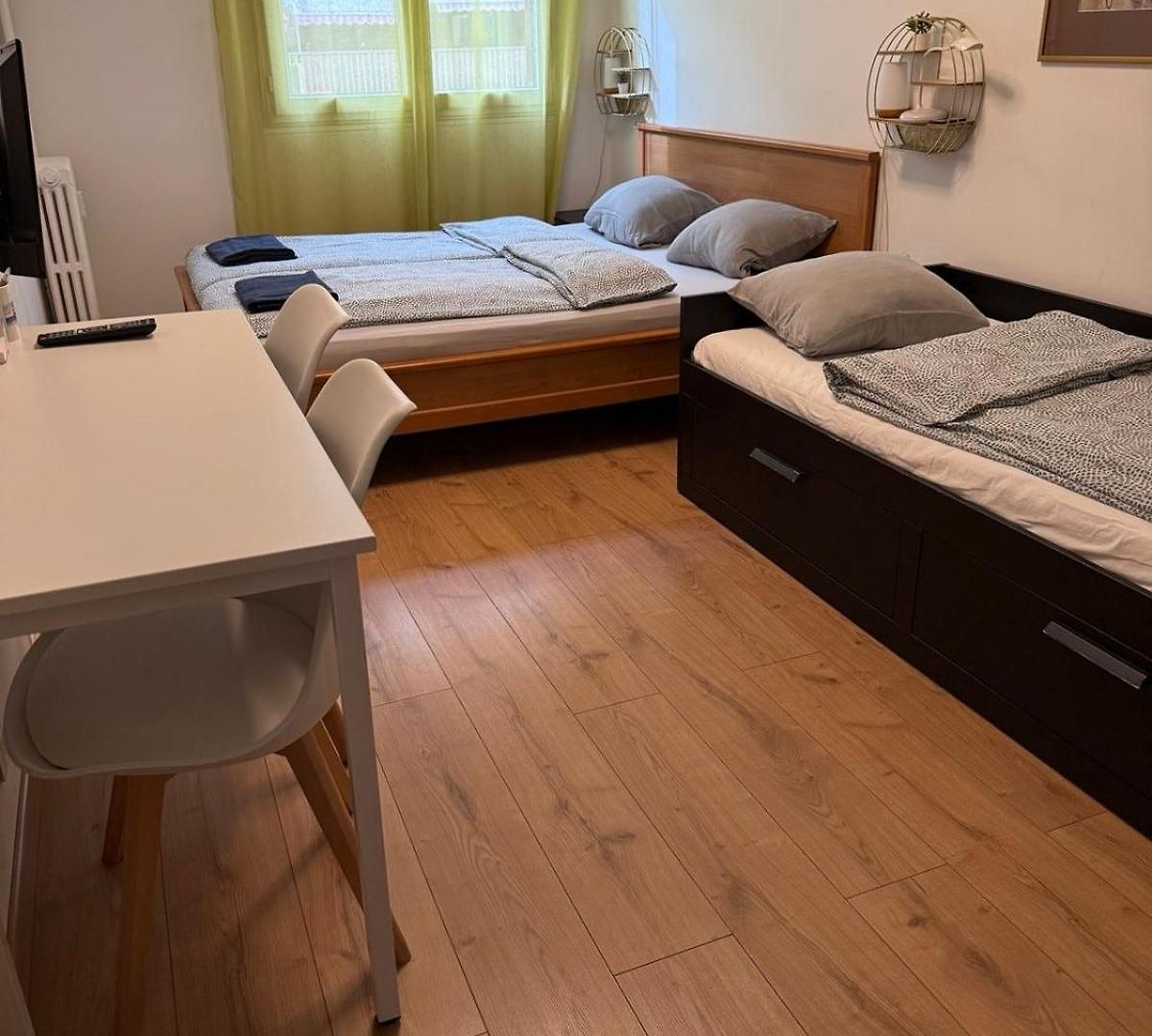 Appartement The - 3 Rooms, 3air Cond, 3tv, 3fans, 2 Wc, Wifi Everywhere 5min Aeroport, Train, Beach, 1min Tram, 15 Min Centre, Port, Parking Possible Nice