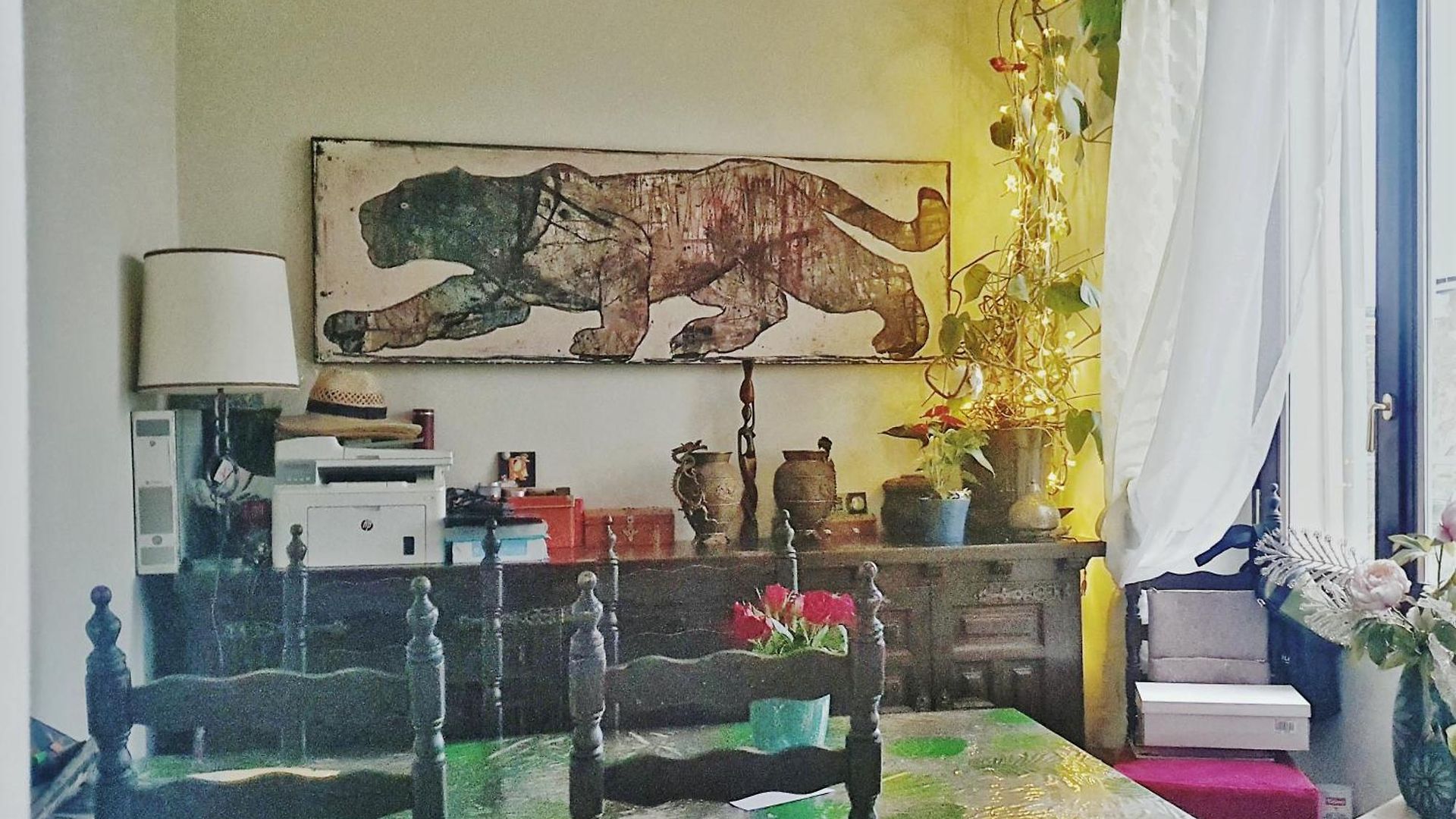 Shared With Kitten Appartement Nice