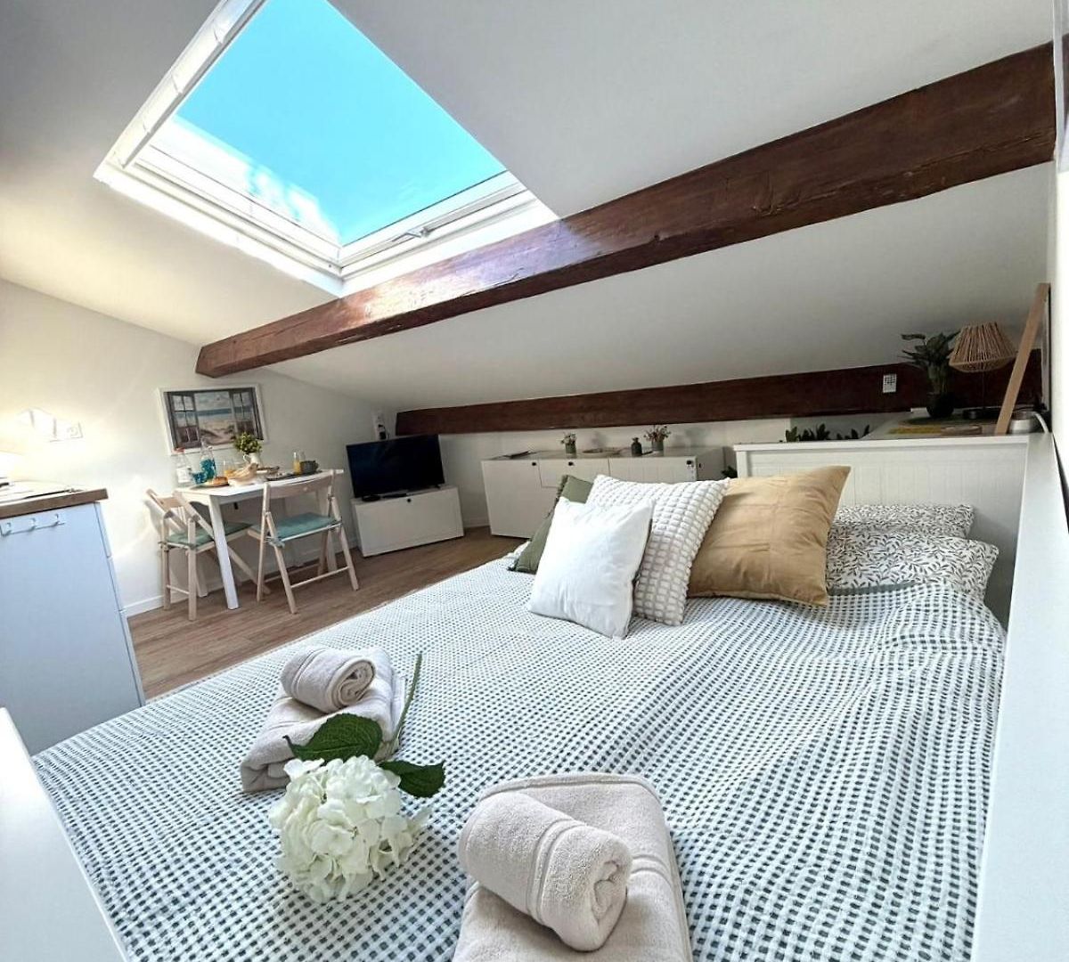 Apartment Le Petit Nid Sous Le Toit Nice