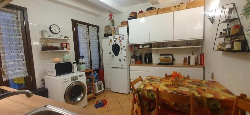 Appartement Shared With Kitten