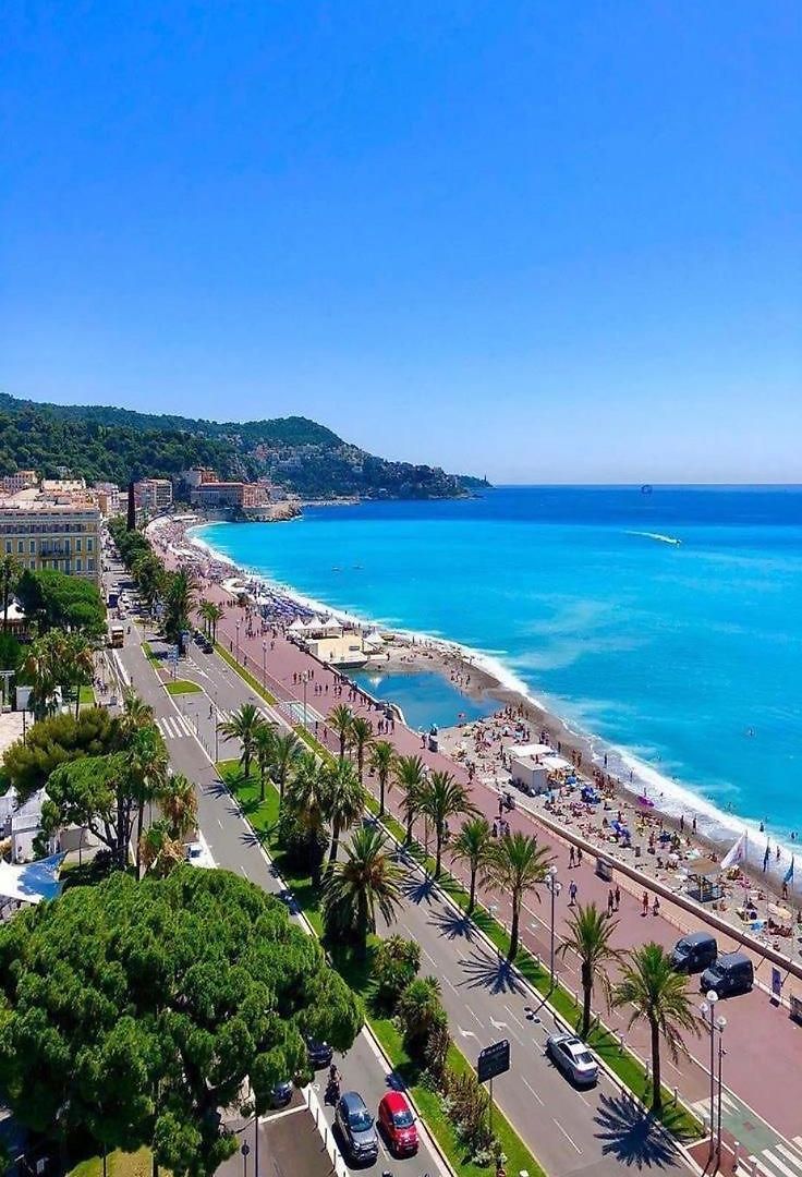 Deluxe Cosy, Promenade Des Anglais, Centre Appartement