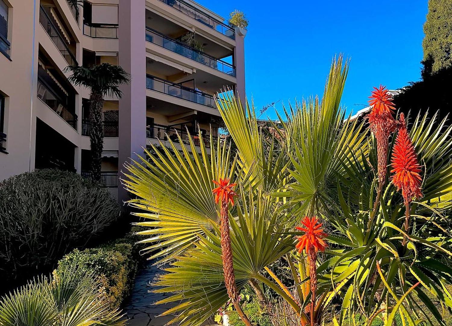 Appartement Moderne Climatisé Avec Piscine, Terrasse Et Parking - Proche Promenade Des