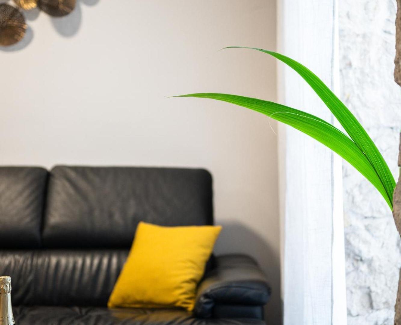Maison Cozy Au Port De Vieux-nice Apartment