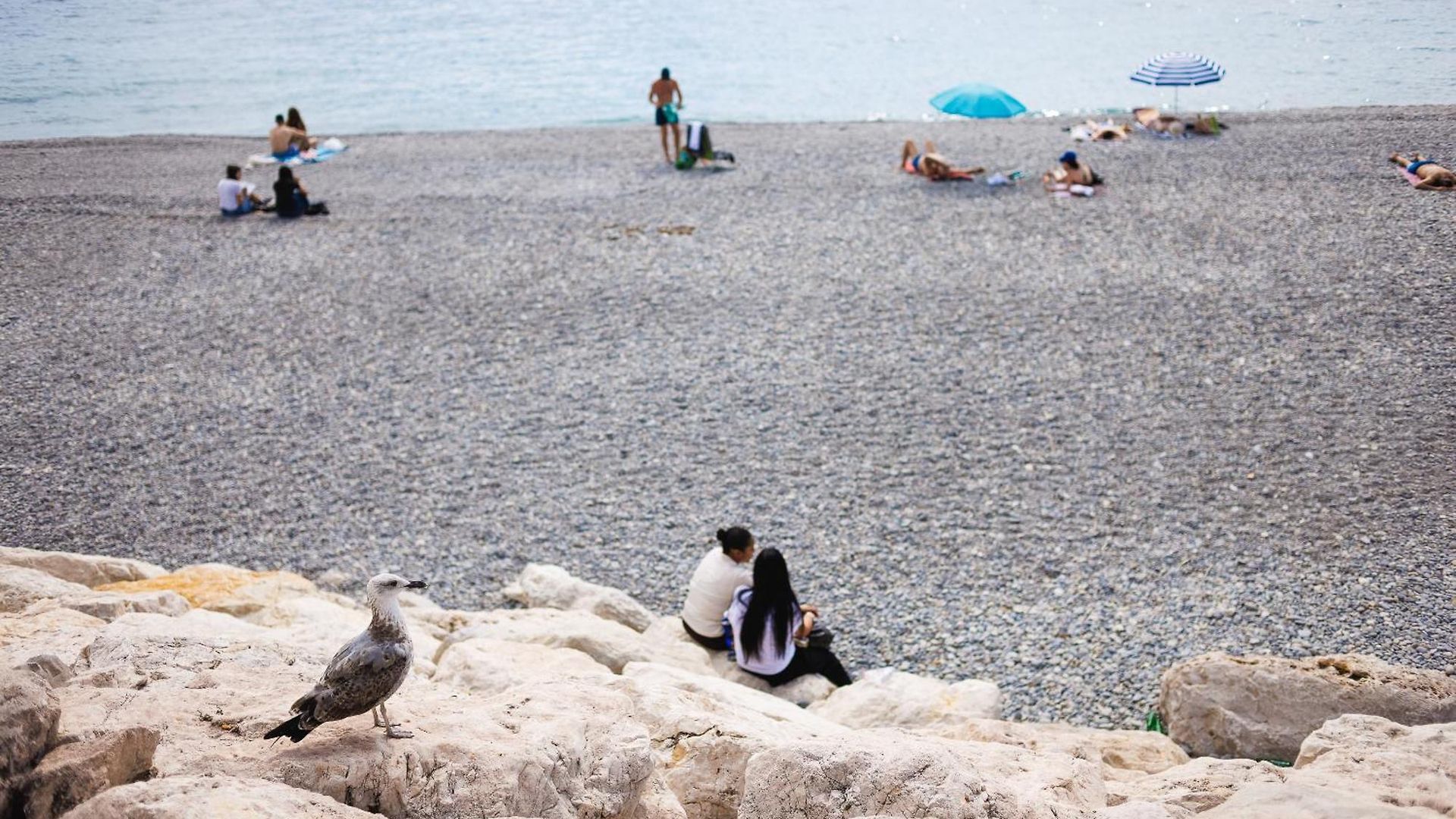 Cosy Promenade Des Parking Apartment *