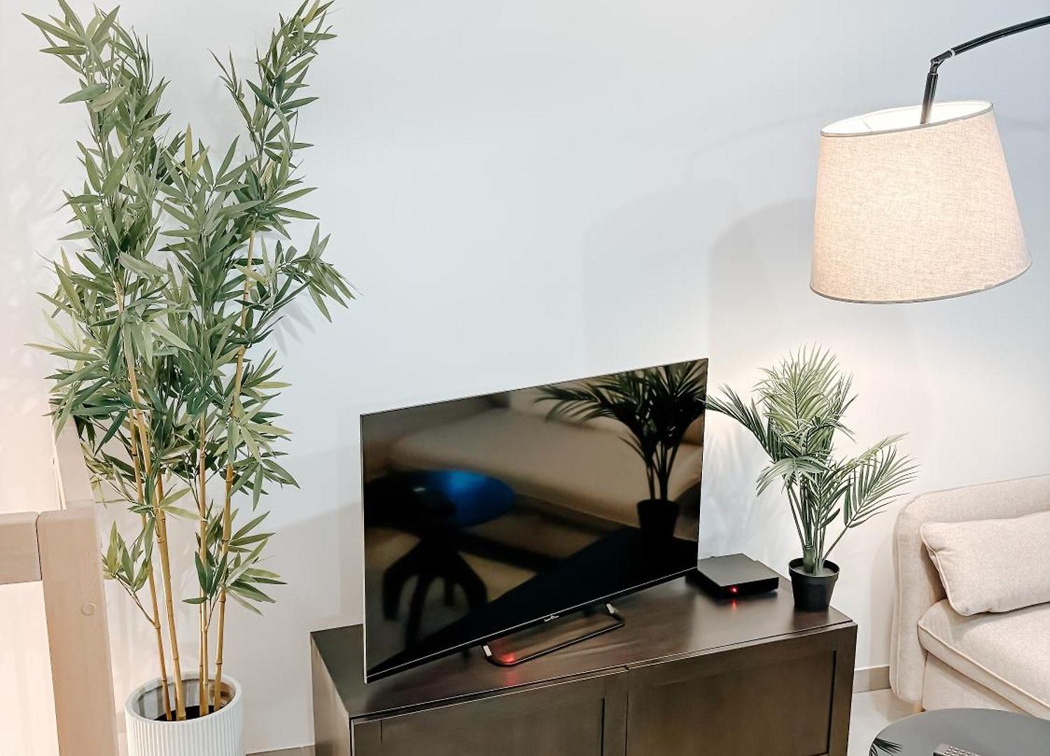 Apartment Aya - Renovated Air-conditioned Duplex With Garden Nice