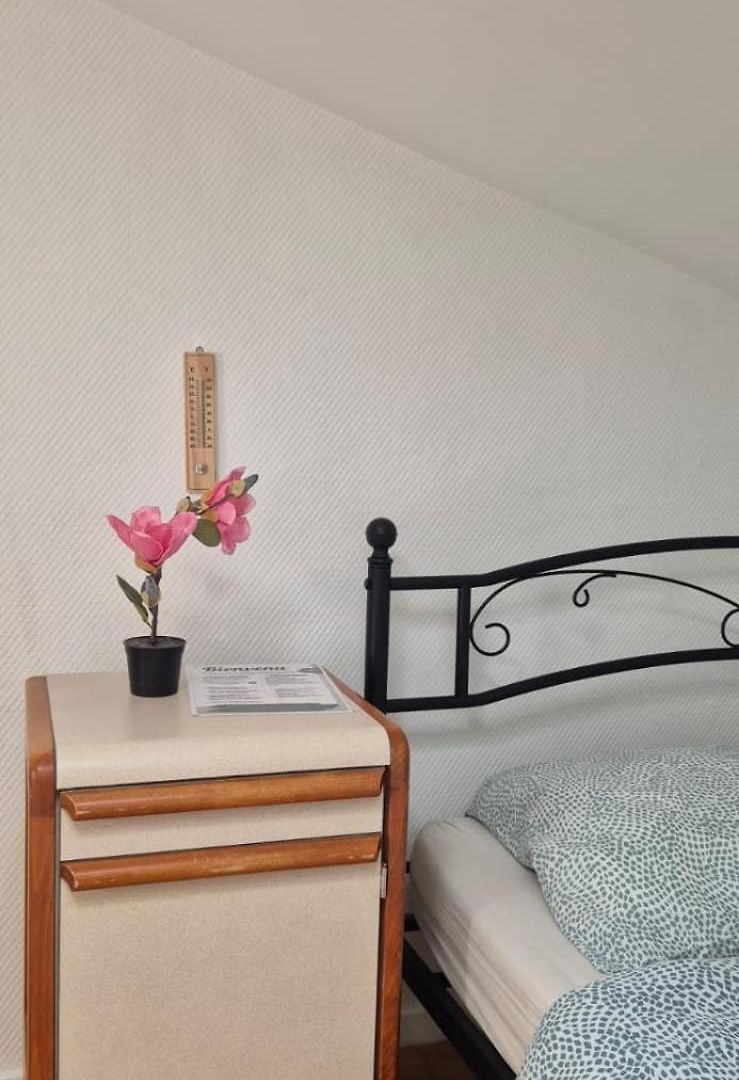 Jolie Privée Centre-ville Auberge de jeunesse *