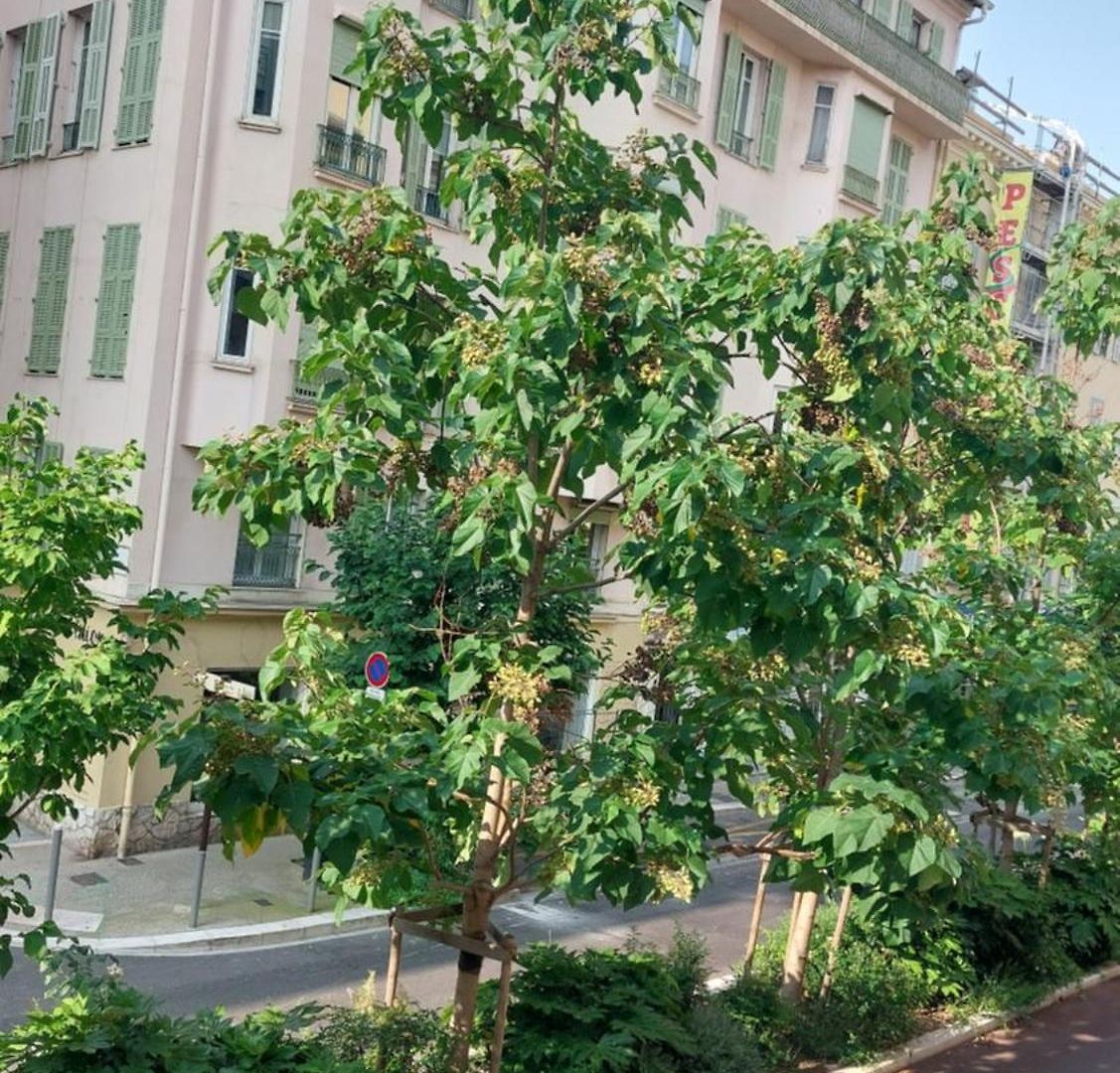 - Duplex Carré D'or - 100m Promenade Des Appartement