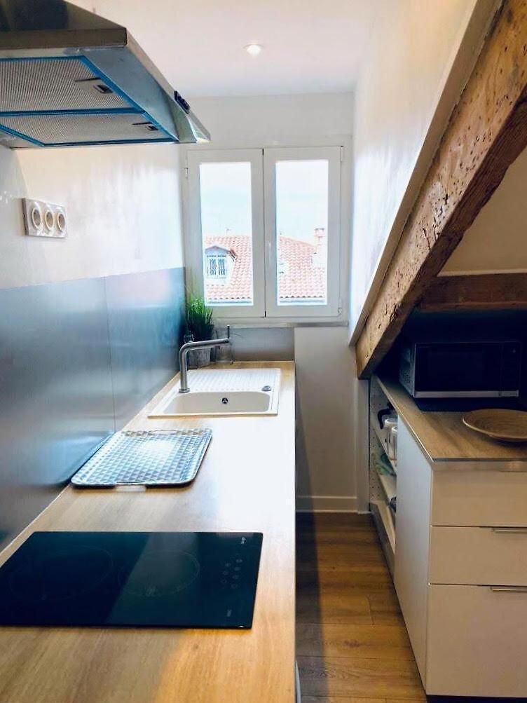 Appartement Guisol 17 Attic Cocon Port De Nice
