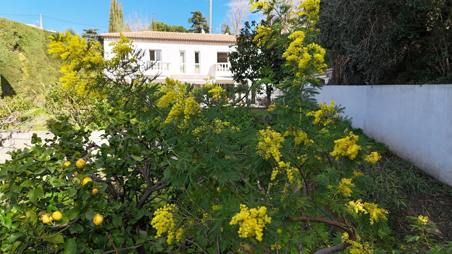 Casa Bohème, élégance Méditerranéenne, Villa