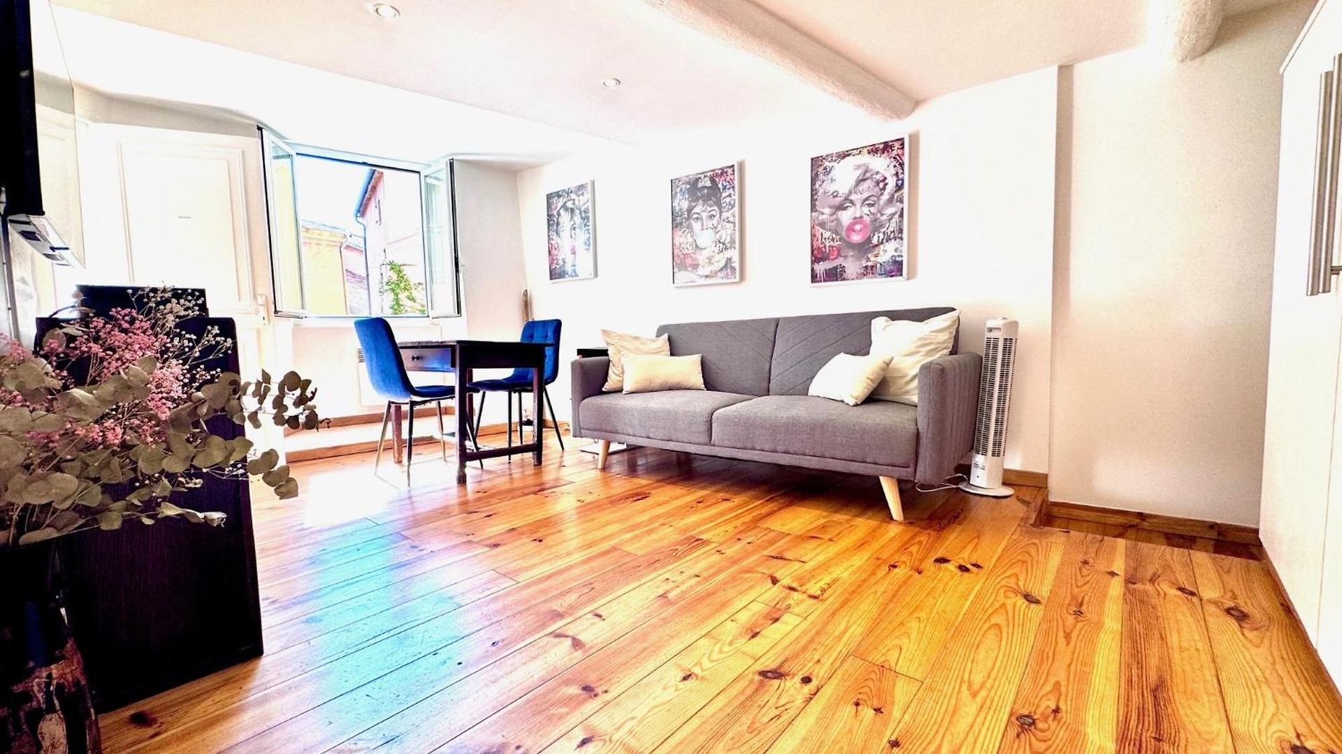 Appartement A Ot Cocon Du Senat 2 - Old Town Promenade Des Ang