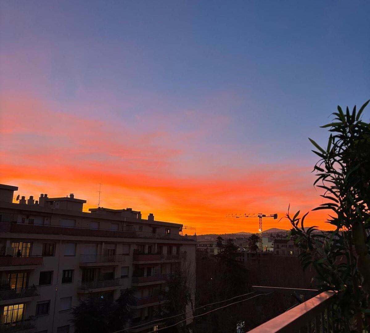 Appartement Le Port Nice