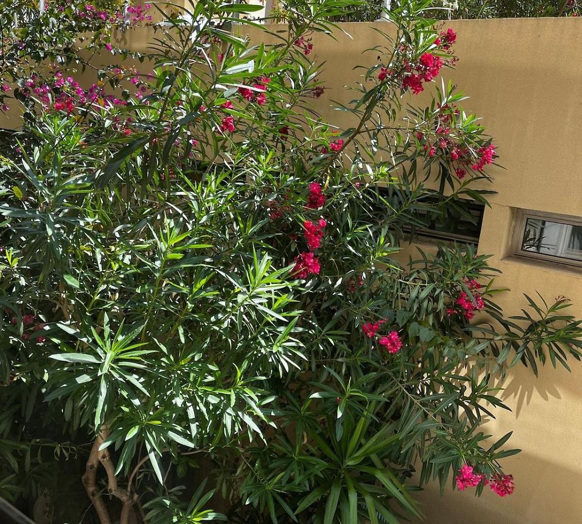 En Bord De - Zone Piétonne Appartement