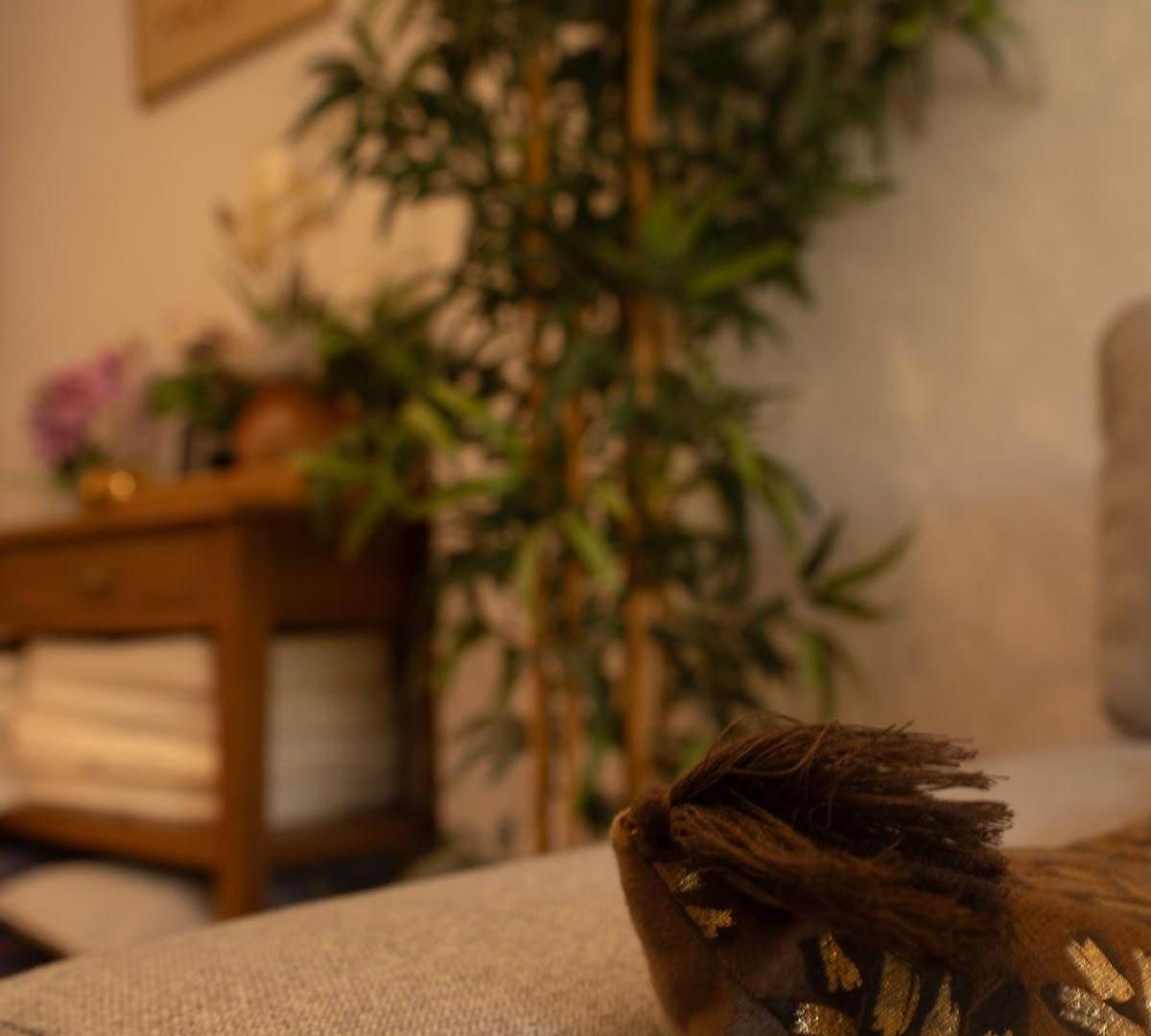 Appartement Le Bougainvillier