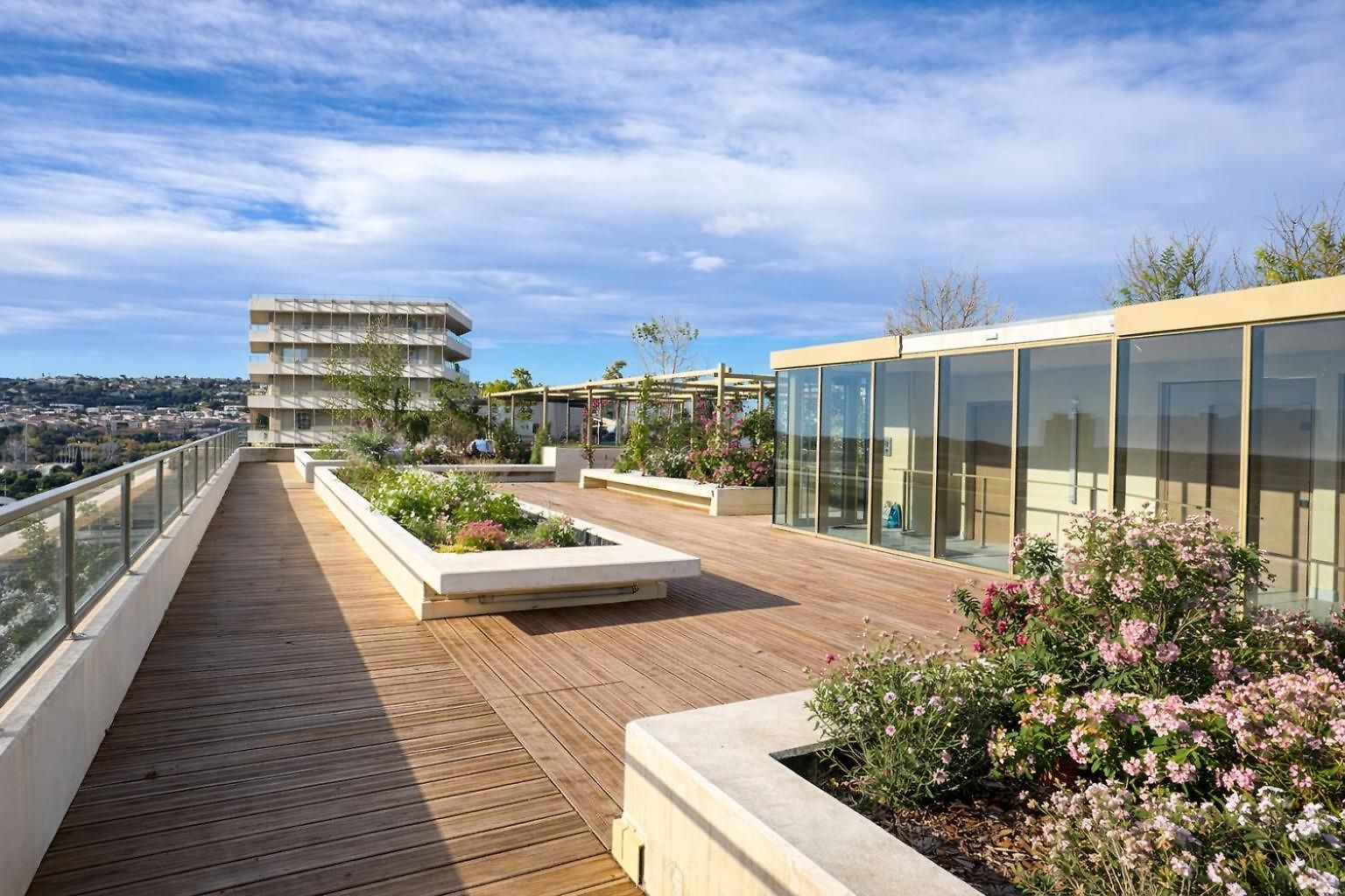 Luxury With Balcony & Rooftop