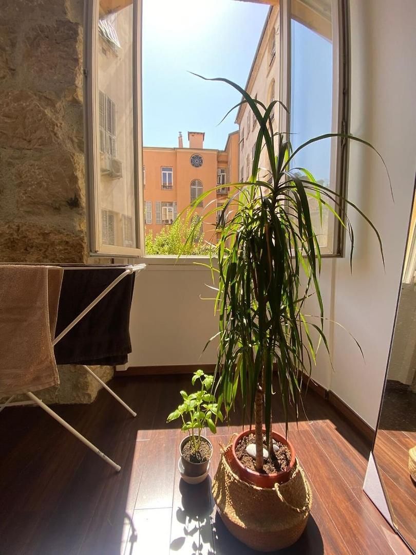 Wehost Clemenceau Sunny Palace 4 Pers 1 Bedroom Appartement Nice