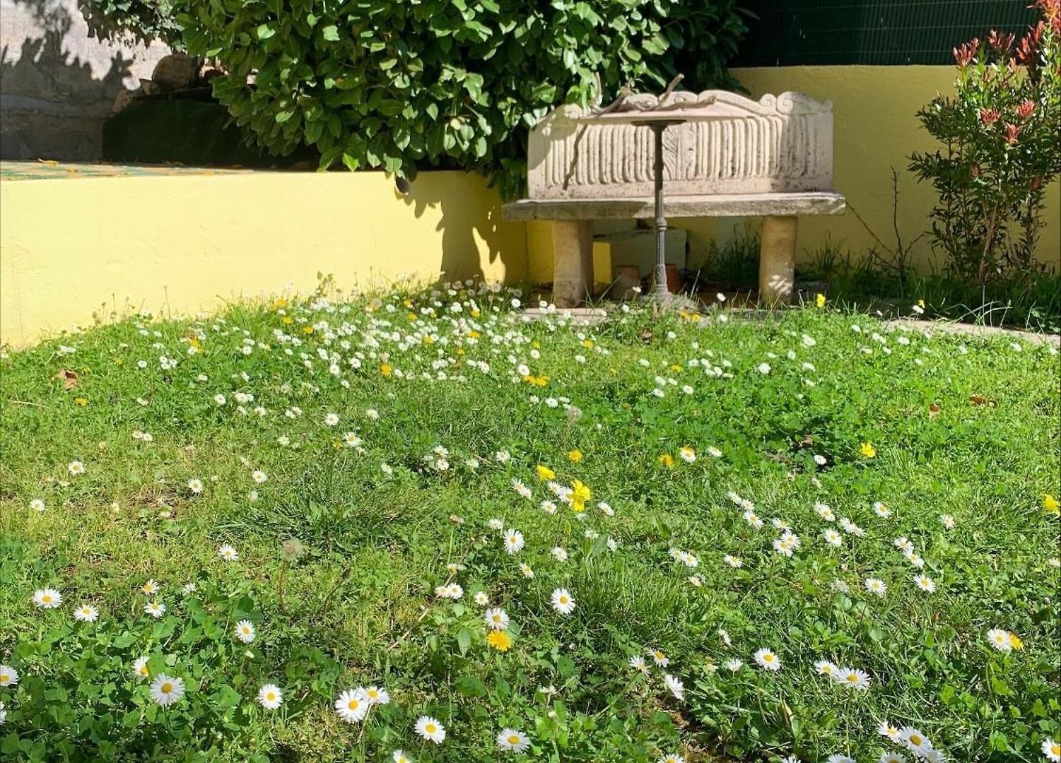 Villa Soraya Nice - Sunny Appartment Cote D'Azur With Large Garden Apartment *