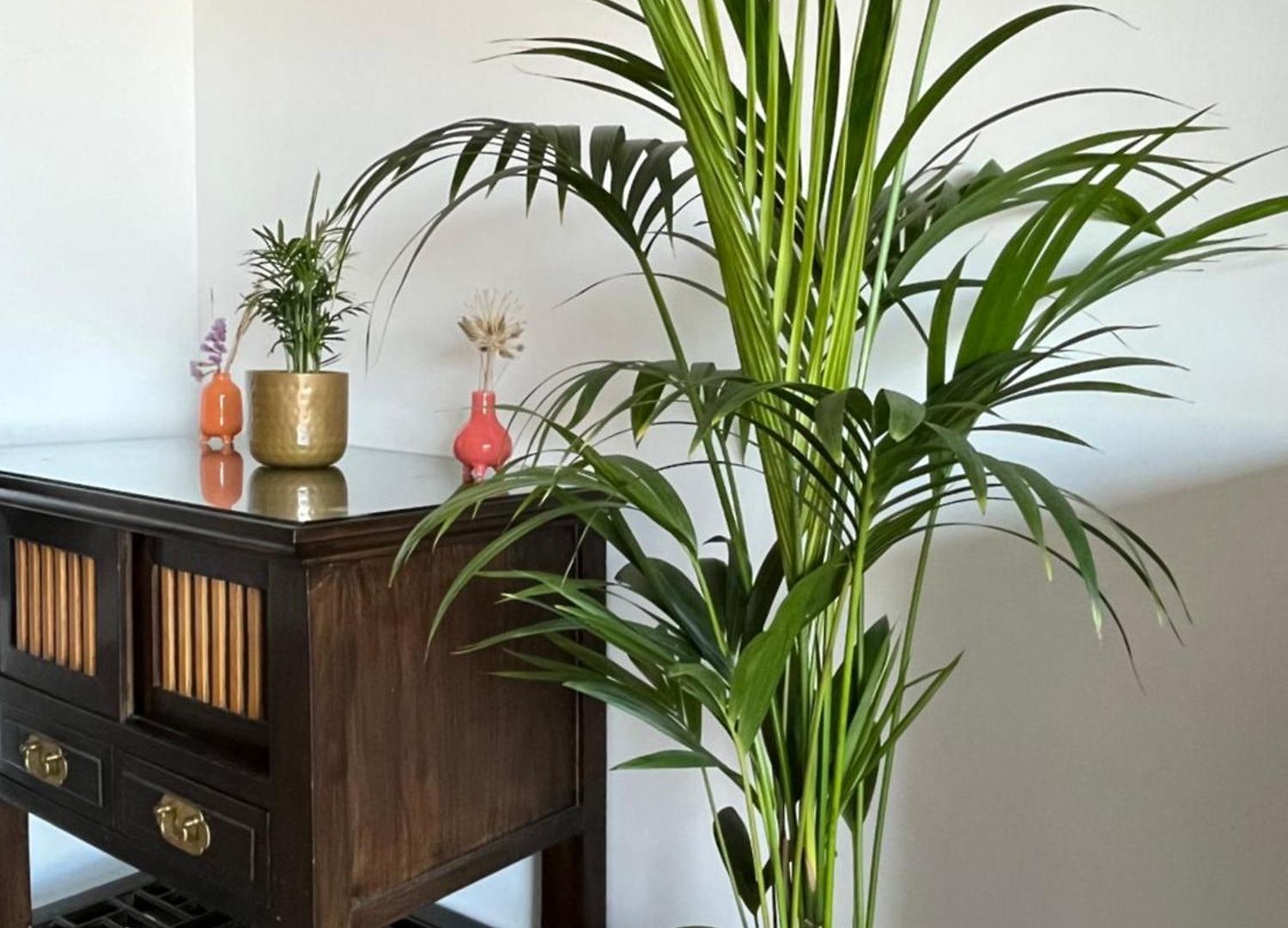 Appartement Très Beau 3 Pièces Spacieux Lumineux Et Climatisé