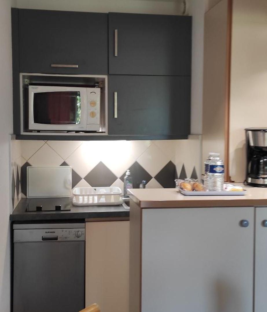 Les Palmiers Apartment Nice