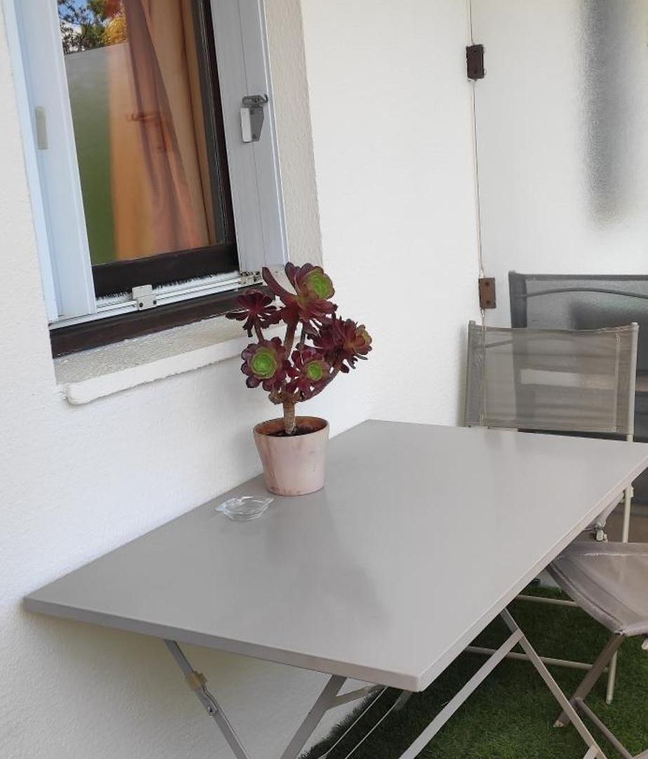 Les Palmiers Apartment *