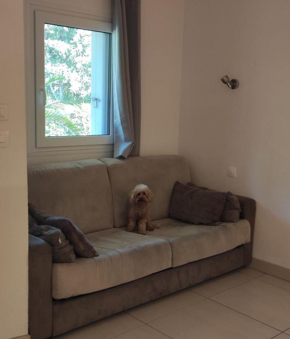 Les Palmiers Appartement