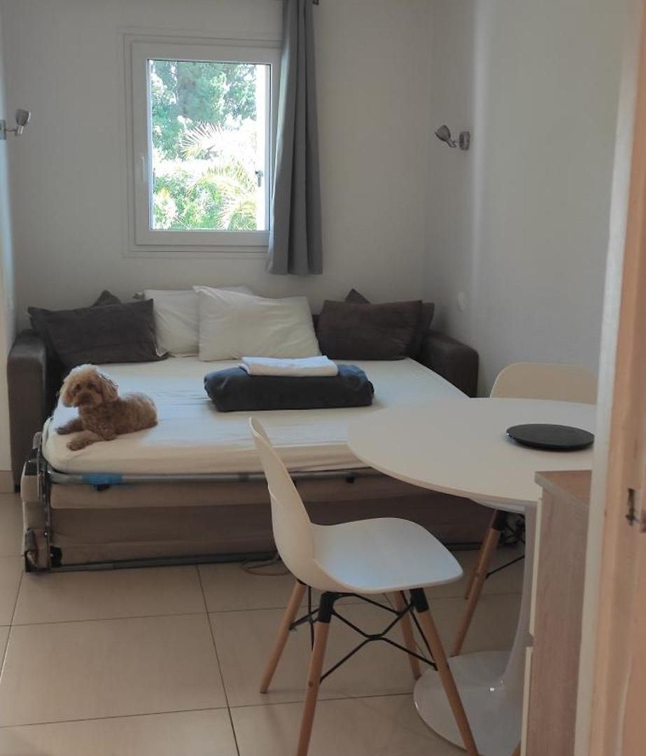 Appartement Les Palmiers
