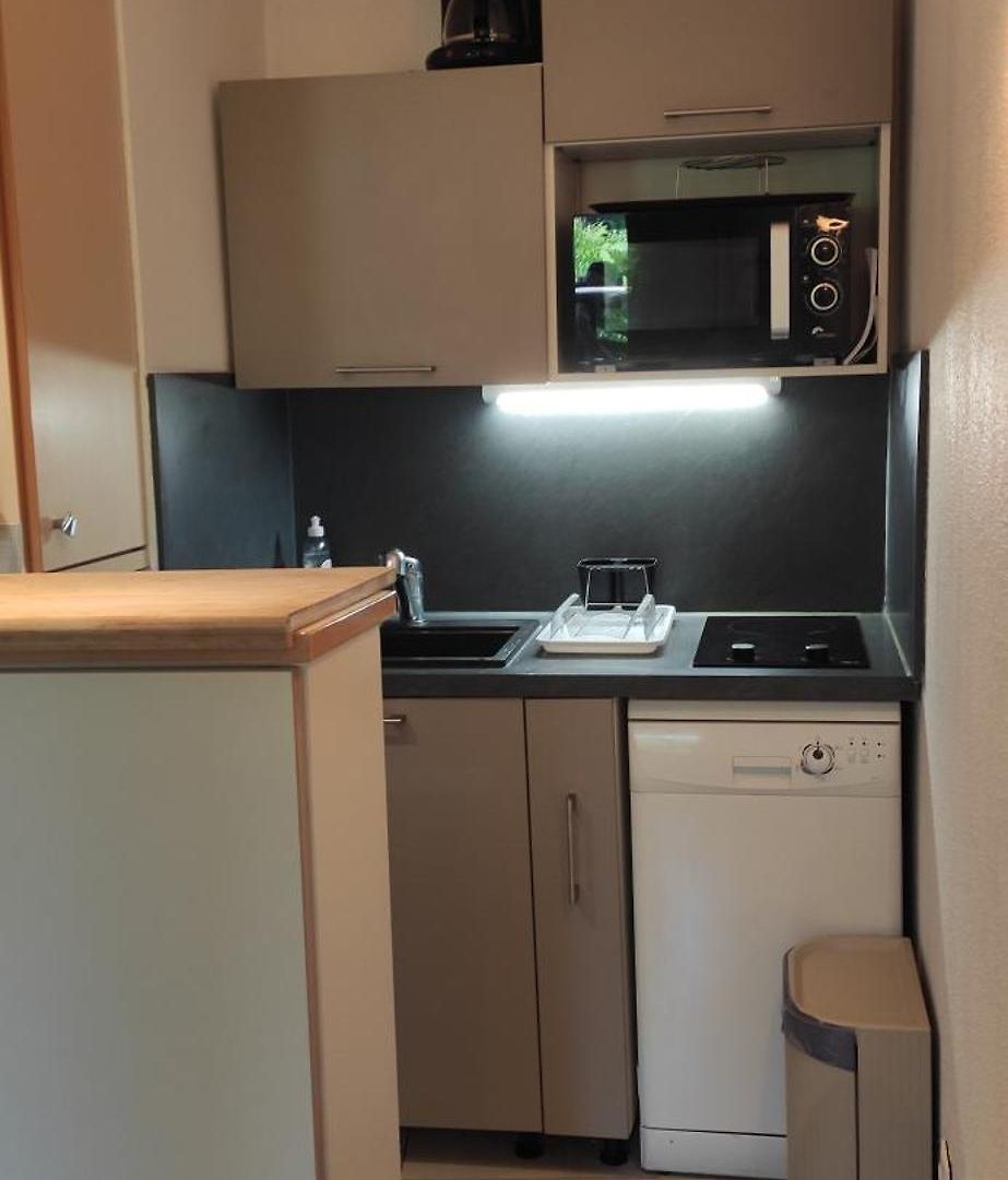 Appartement Les Palmiers Nice