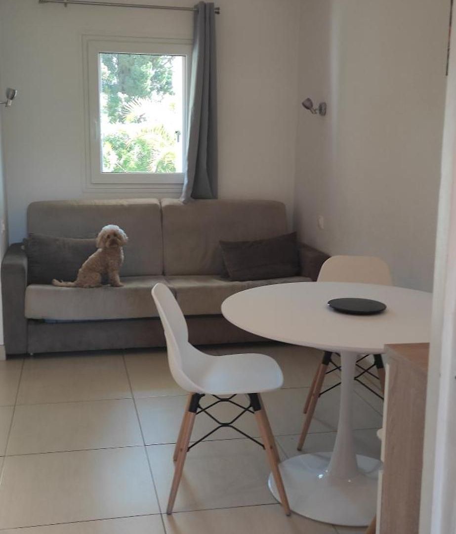 Les Palmiers Appartement Nice