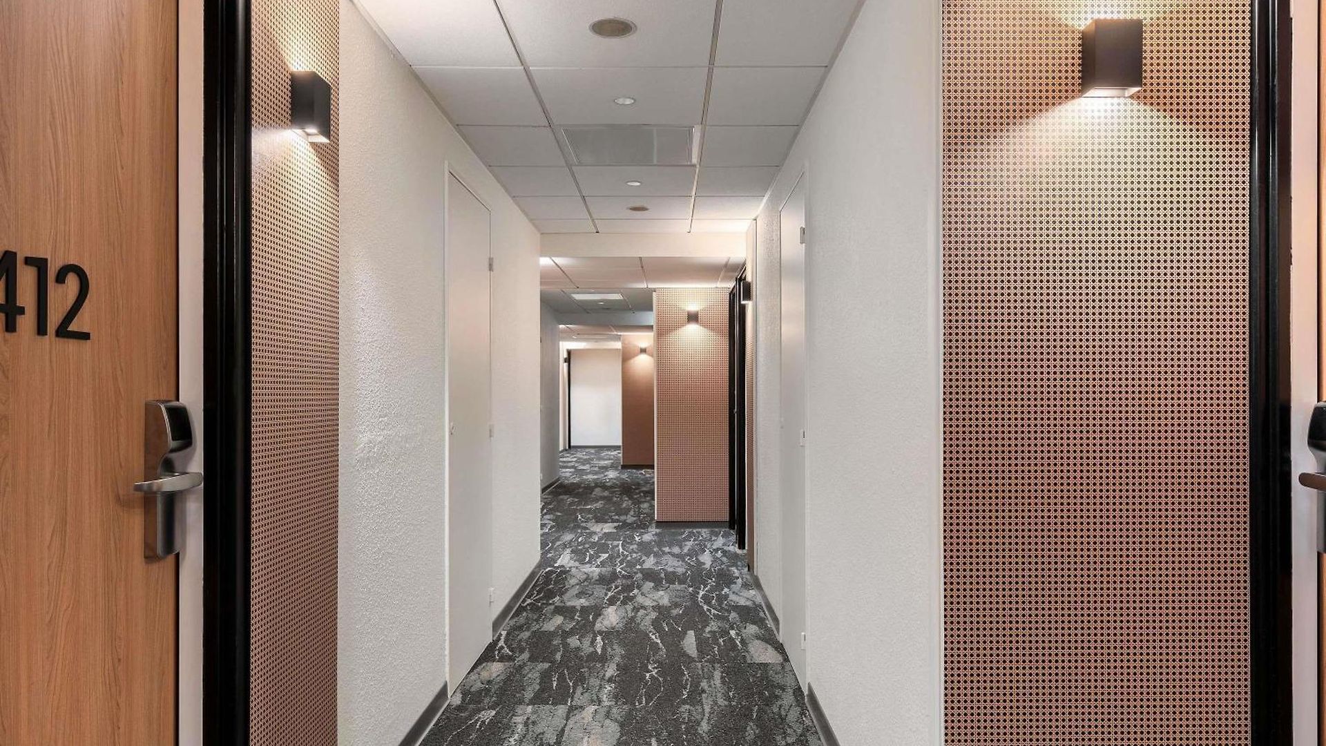 Hotel Ibis Aéroport Promenade Des 3*
