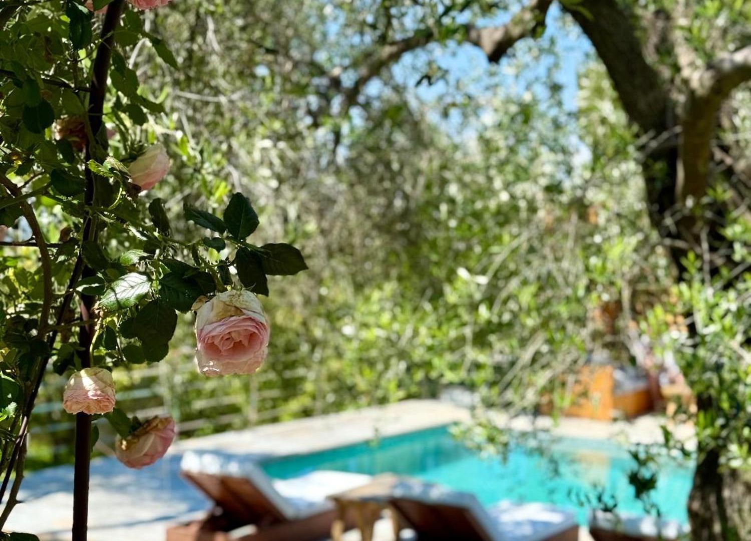 Bed & Breakfast Escondida 4*
