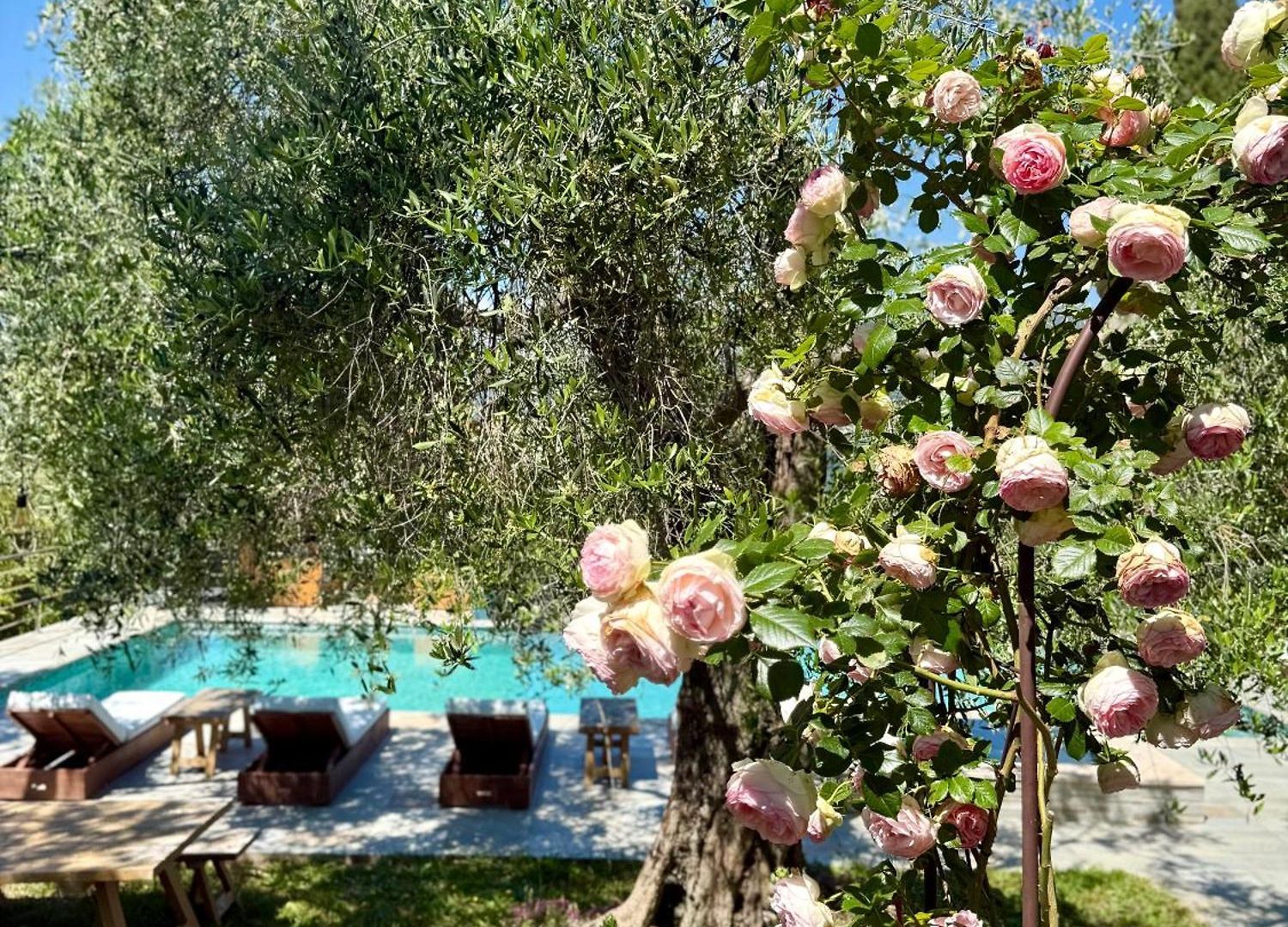 Escondida Bed & Breakfast