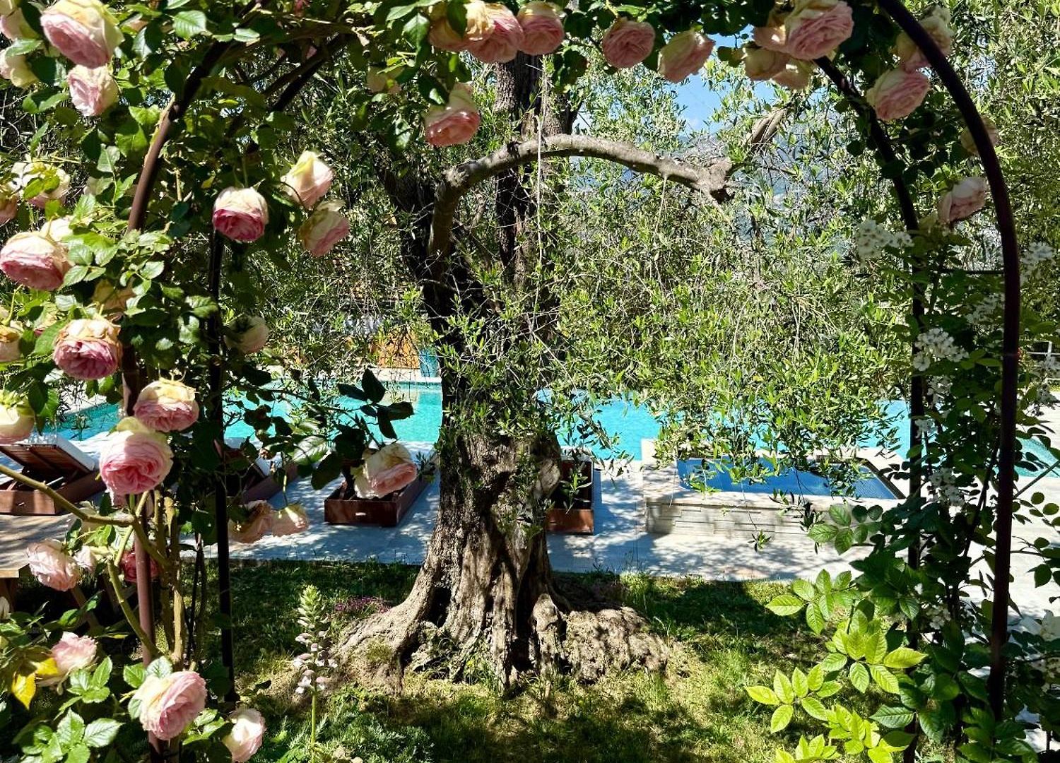 Bed & Breakfast Escondida 4*
