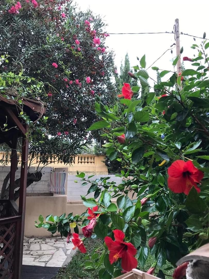 Cosy Avec Jardin Privatif - Carabacel, *