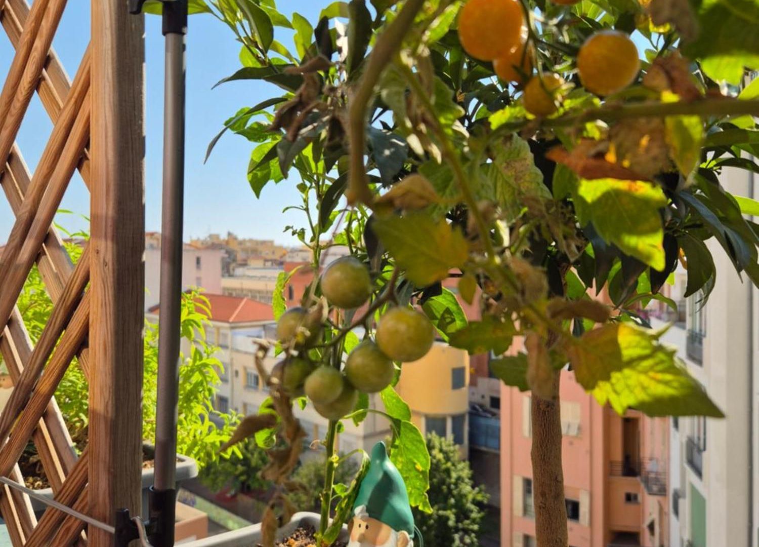 Séjour chez l'habitant Wonderful Heart Of Nice