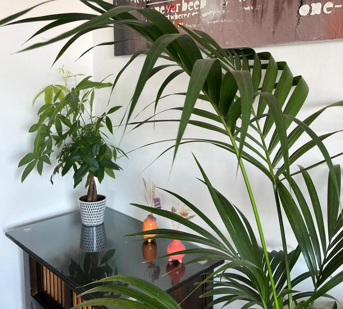 Très Beau 3 Pièces Spacieux Lumineux Et Climatisé Appartement *