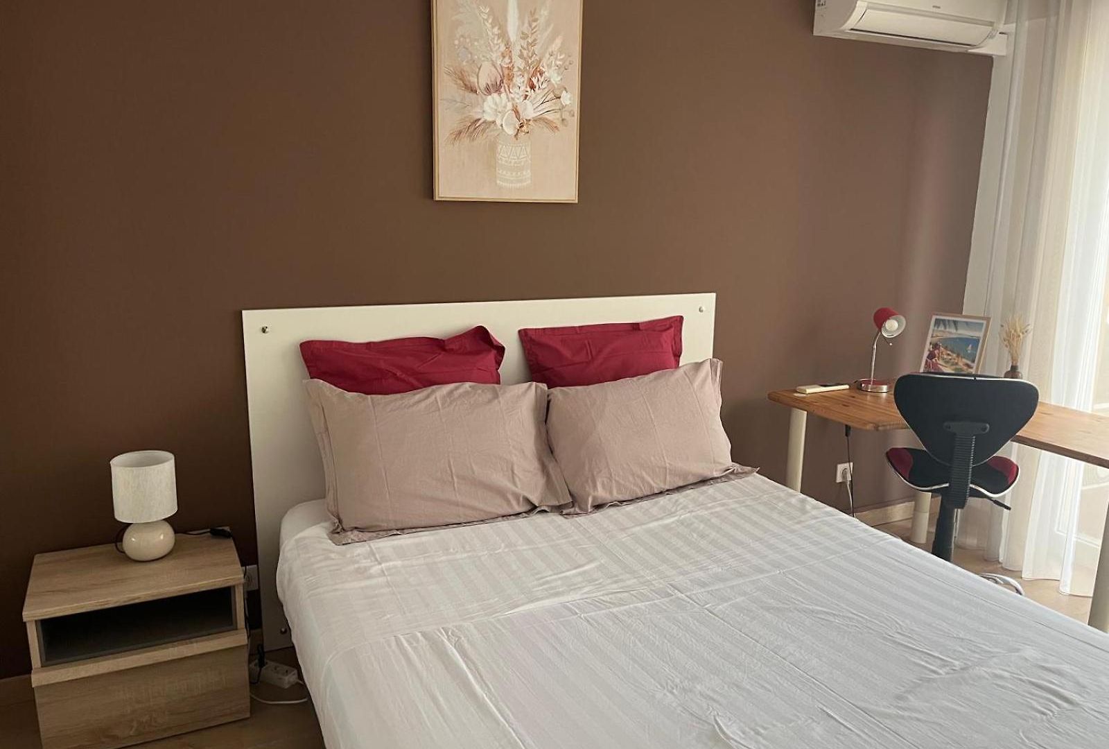 Très Beau 3 Pièces Spacieux Lumineux Et Climatisé Nice
