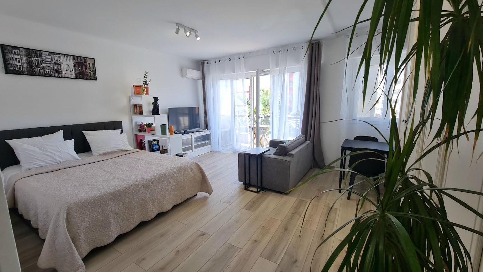 Spacious Apartment