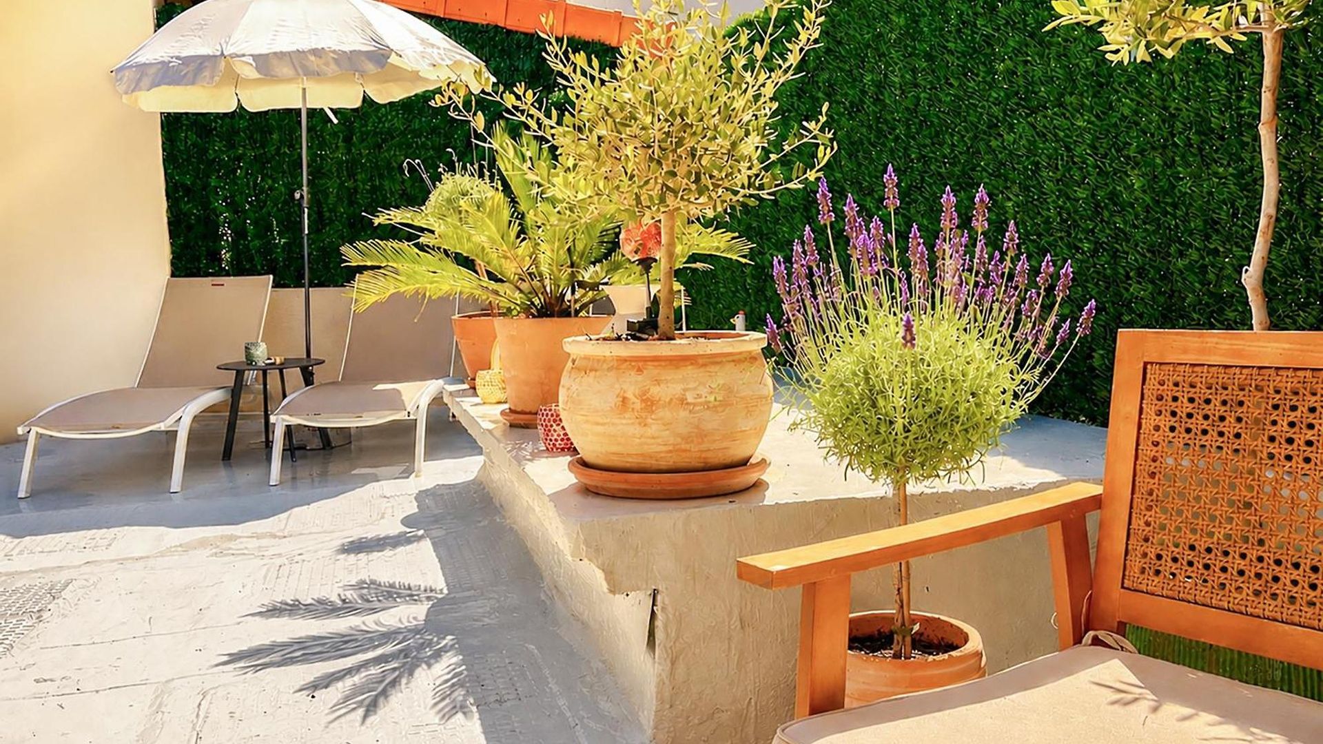 Le Petit - 4 Studios, 2 With Private Terrace - Centre Apartment *