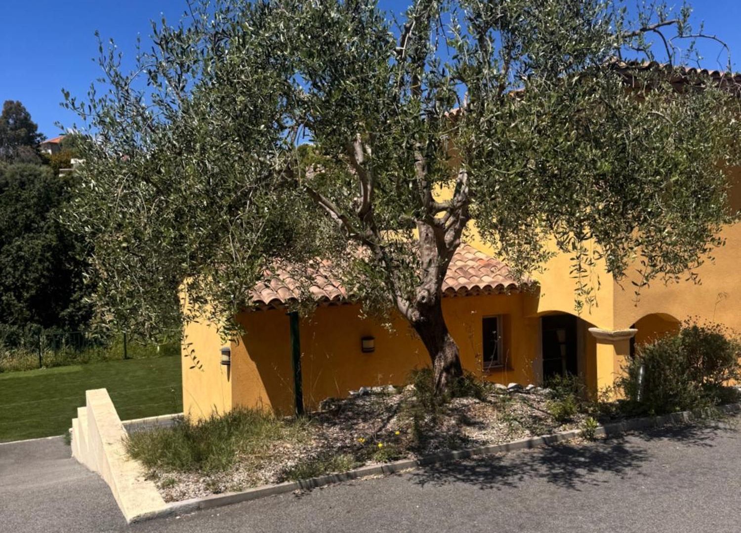 Bed & Breakfast Horizon