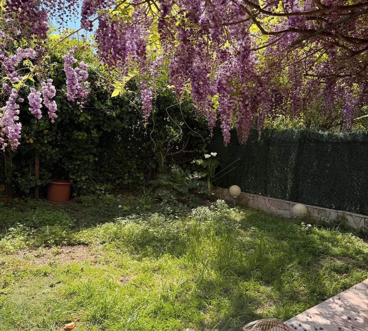 Apartment Jardin Prive 2 Pieces Garage Calme