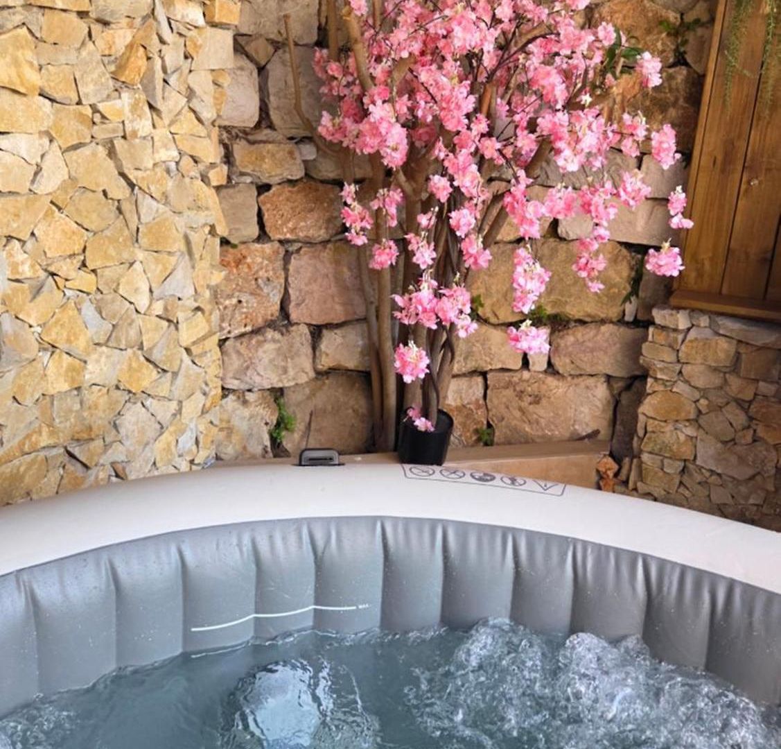 Avec Jardin Prive & Jacuzzi Apartment *