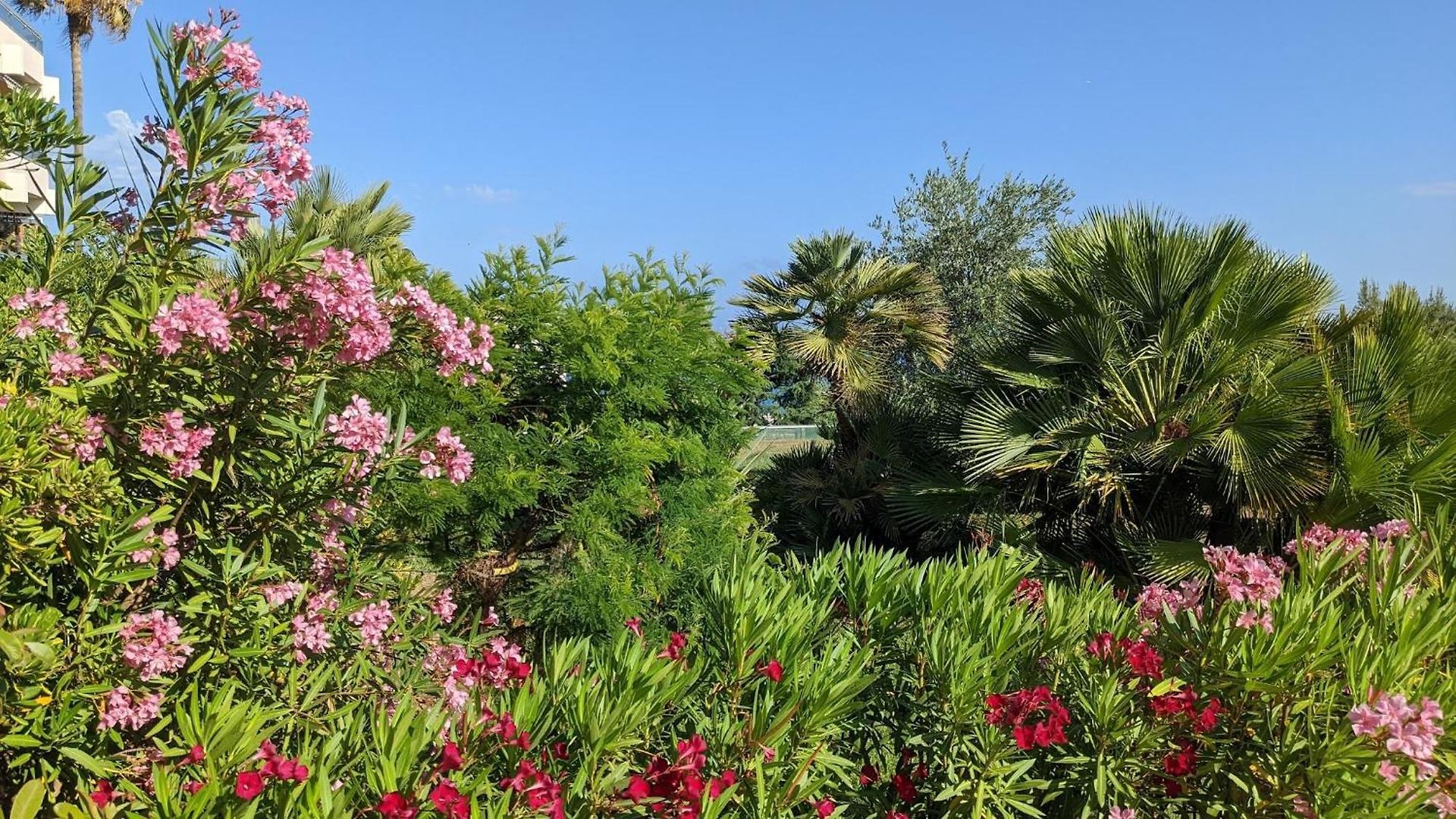 Avec Terrasse - Piscine - Tennis - Gardien *