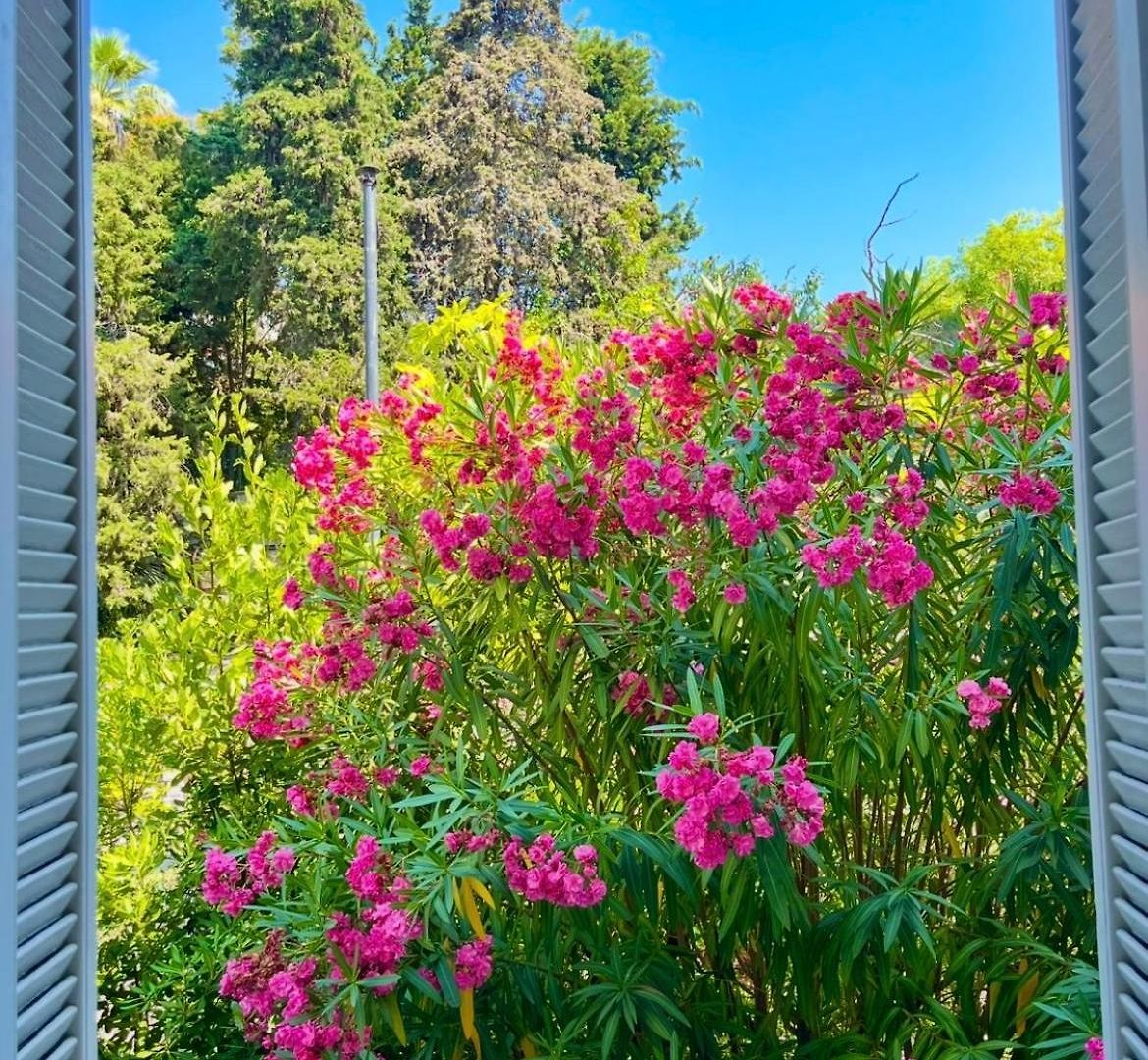 Residence La Villa Leonie Nice