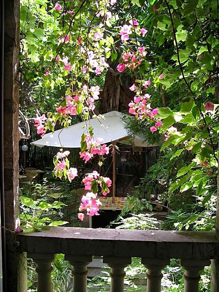 Le Windsor, Jungle Art Hotel Nice