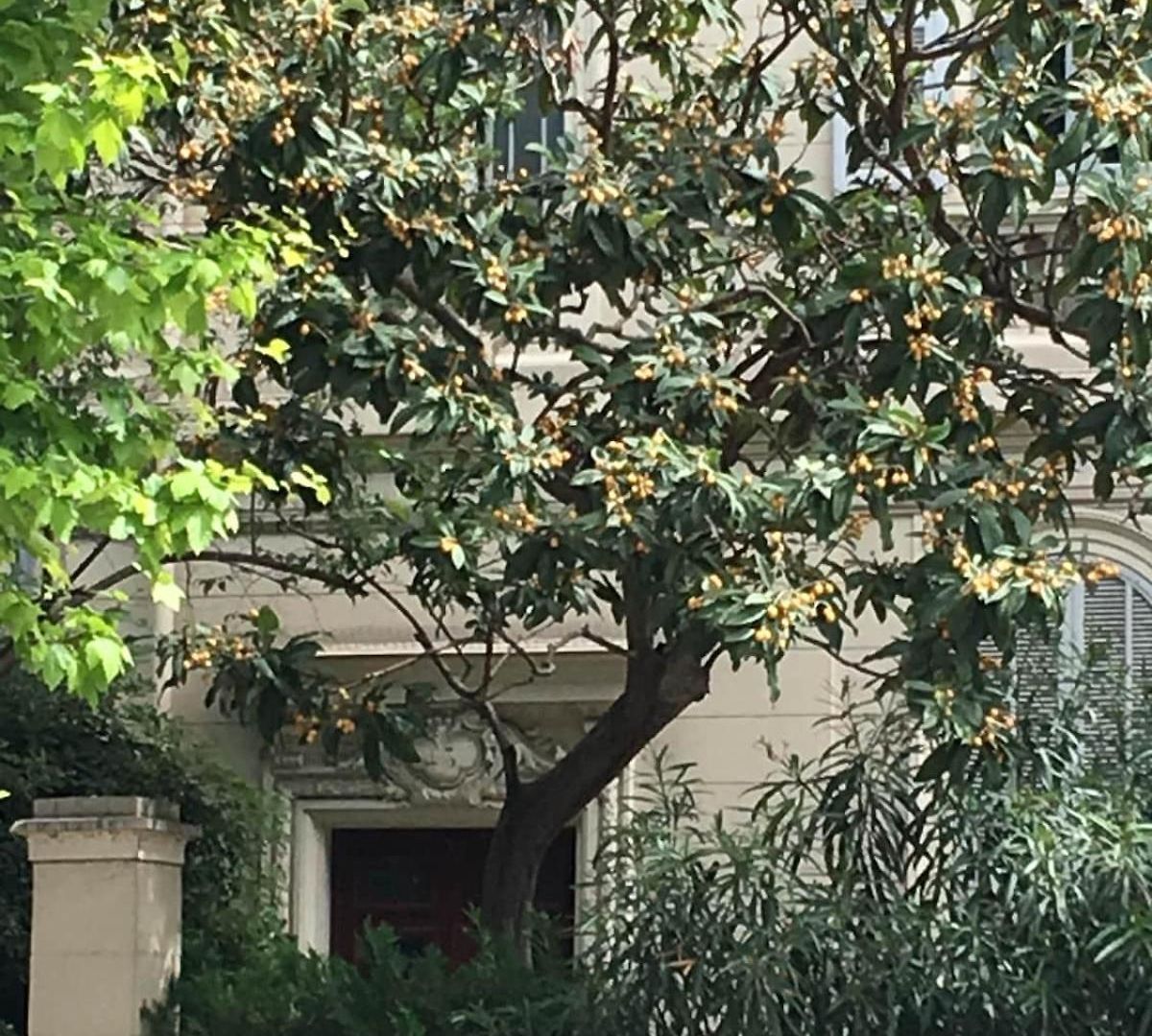 Charm - Walk To Negresco & Promenade Apartment