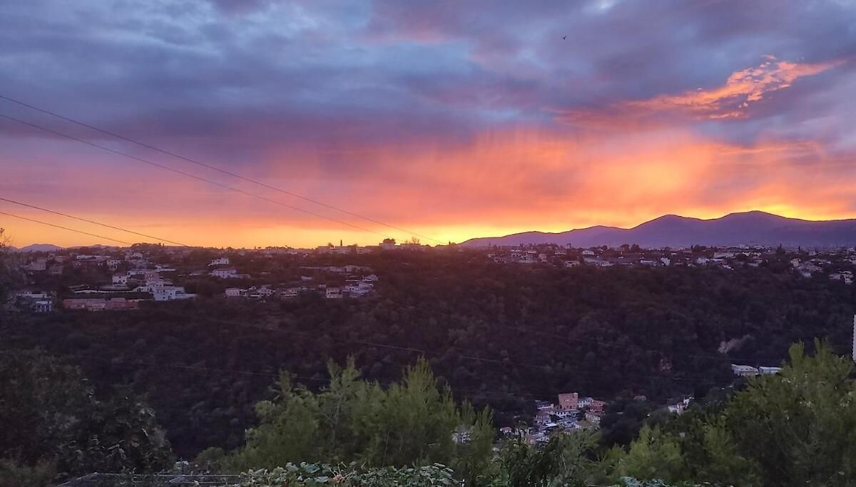 With Gorgeous View