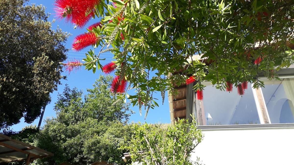 Maison Et Jardin Sur Les Hauteurs De * Nice