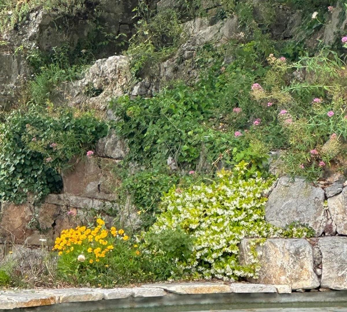 Villa Magnifique - Villefranche *