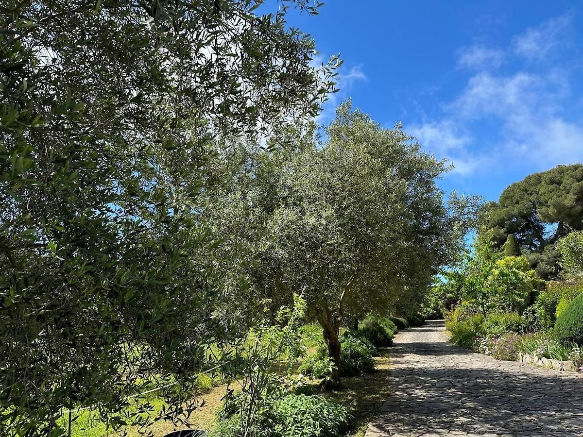 Villa Magnifique - Villefranche *