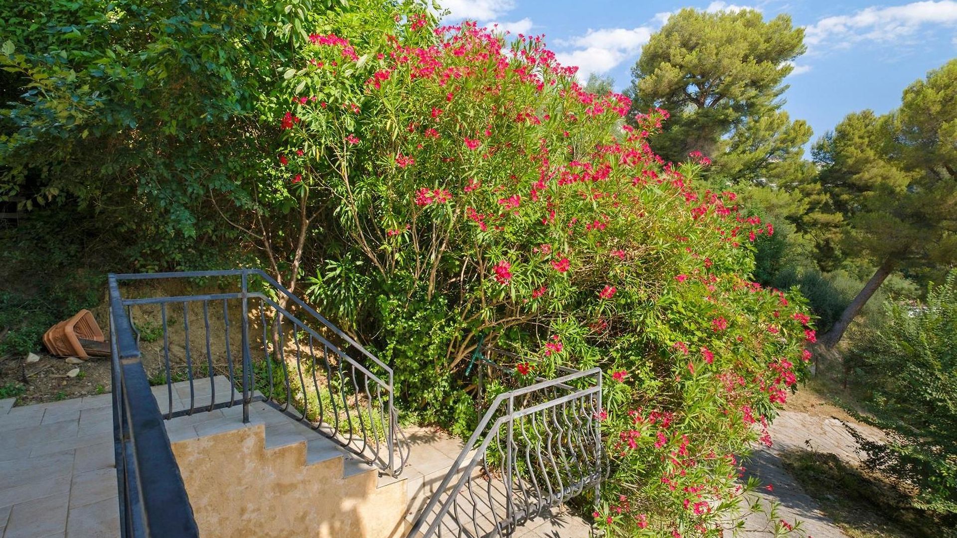 Villa Chez Dominique